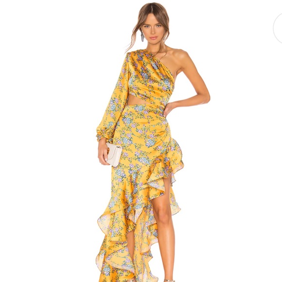 Revolve Bronx and Banco Hanna Gown in Multicolor